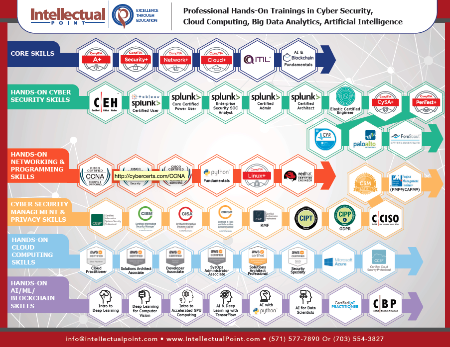 Networking Career Path